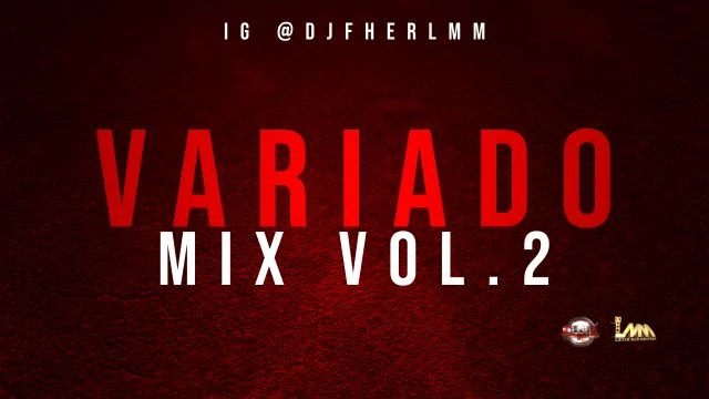 04 VARIADO MIX VOL.2 - DJ FHER GT