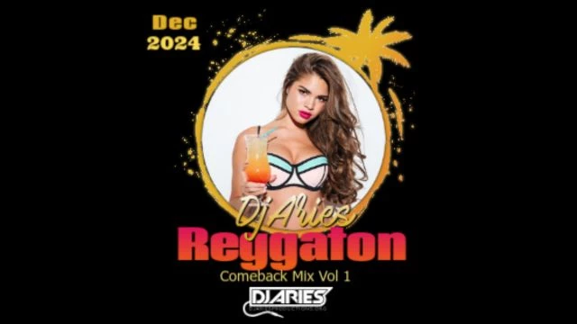 DjAries Reggaeton 2024 Comeback Vidz Mix