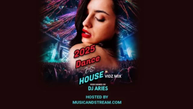 DjAries Dance Vs House 2025 Vidz Mix